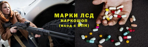 твердый Гатчина