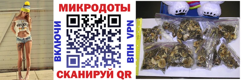 hydra сайт  Советская Гавань  Галлюциногенные грибы мицелий 