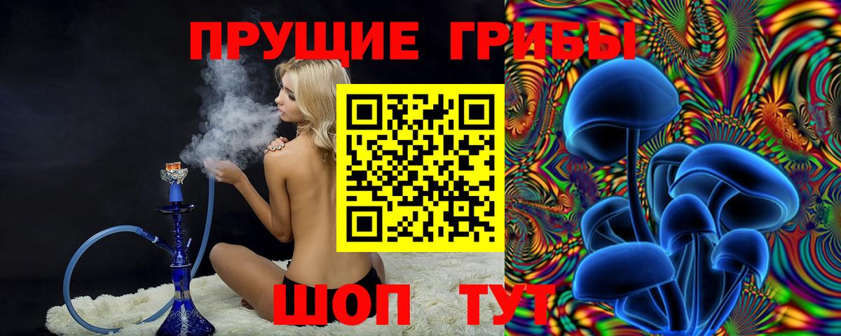 Советская Гавань  Псилоцибиновые грибы Psilocybine cubensis  Вход с VPN 
