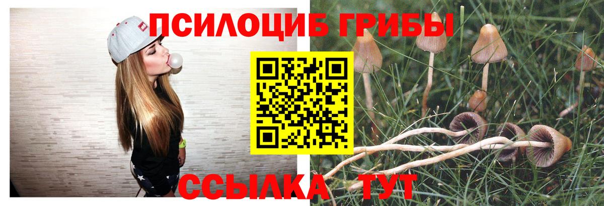 Псилоцибиновые грибы мухоморы Советская Гавань
