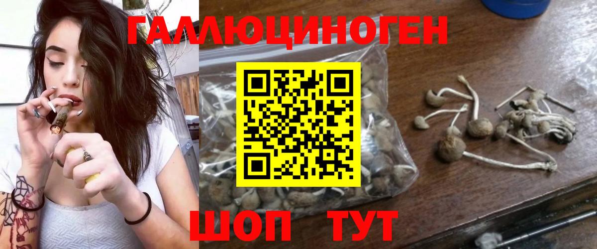 Галлюциногенные грибы мухоморы Советская Гавань